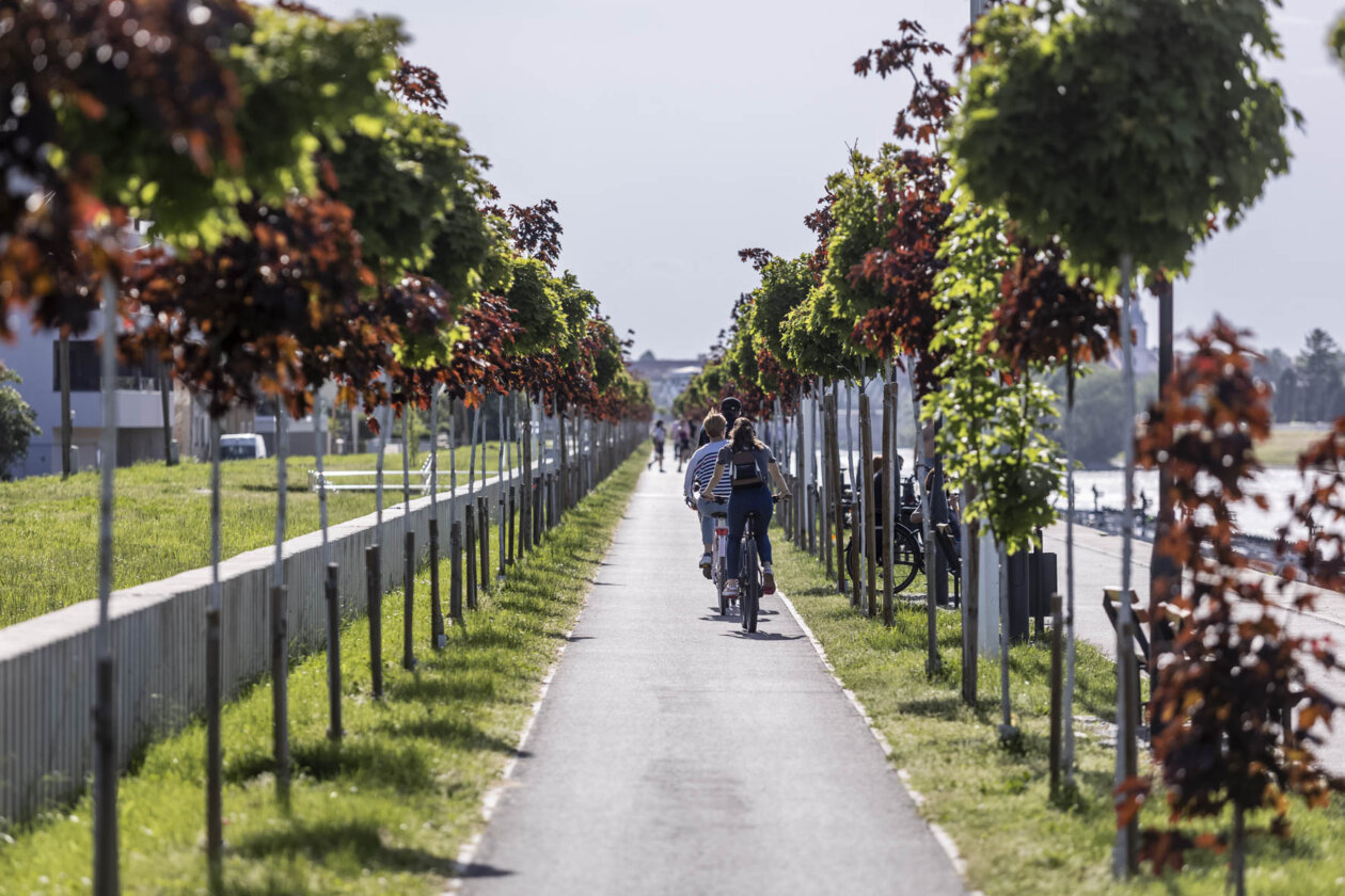Nedjeljna šetnja, 4.5.2025. Nedjeljna šetnja, 4.5.2025.