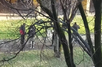 Snimka zaslona 2024-12-27 112449