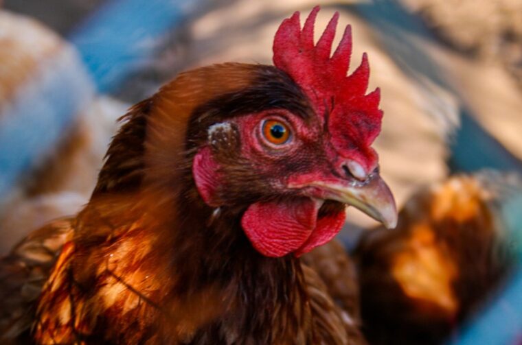 Snimka zaslona 2025-07-28 102632