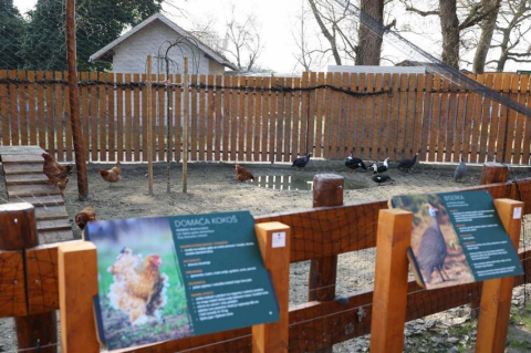 Snimka zaslona 2026-03-12 181917