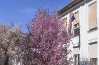 ulica_Ringlova_16_03_2026