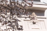 ulica_Ringlova_16_03_2026