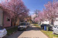 ulica_Ringlova_16_03_2026