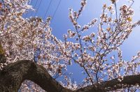 ulica_Ringlova_16_03_2026