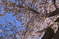 ulica_Ringlova_16_03_2026