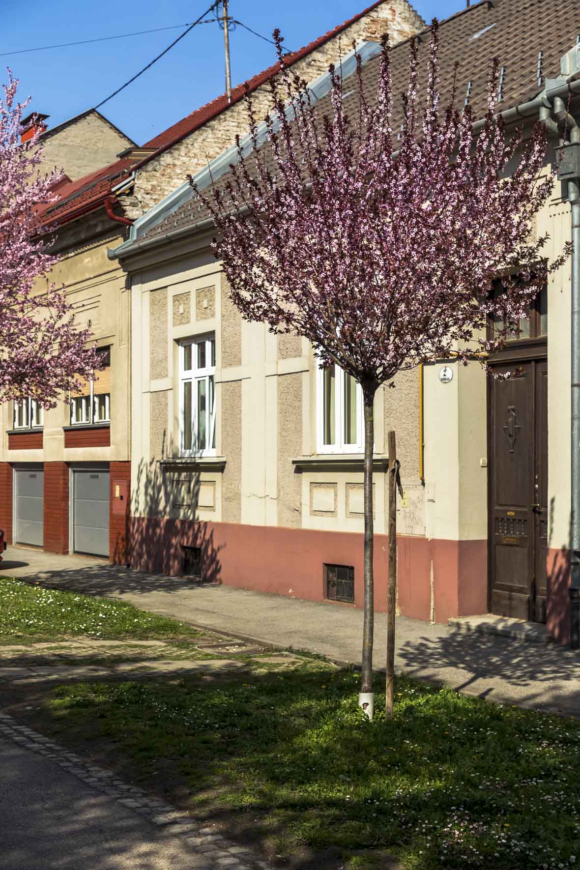 ulica_Ringlova_16_03_2026