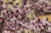 ulica_Ringlova_16_03_2026