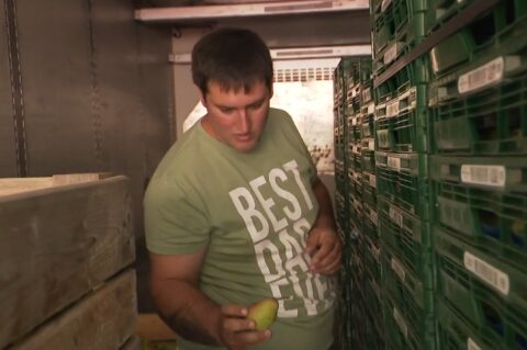 Matija Kovačić Matija Kovačić