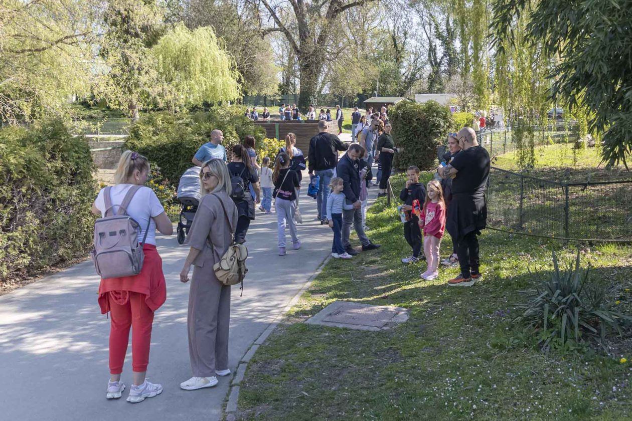 Uskrsni ponedjeljak u ZOOu_05_04_2026 Uskrsni ponedjeljak u ZOOu_05_04_2026