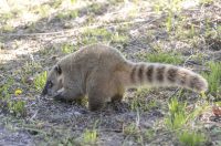 Uskrsni ponedjeljak u ZOOu_05_04_2026 Uskrsni ponedjeljak u ZOOu_05_04_2026