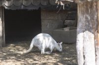 Uskrsni ponedjeljak u ZOOu_05_04_2026 Uskrsni ponedjeljak u ZOOu_05_04_2026