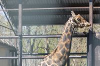 Uskrsni ponedjeljak u ZOOu_05_04_2026 Uskrsni ponedjeljak u ZOOu_05_04_2026