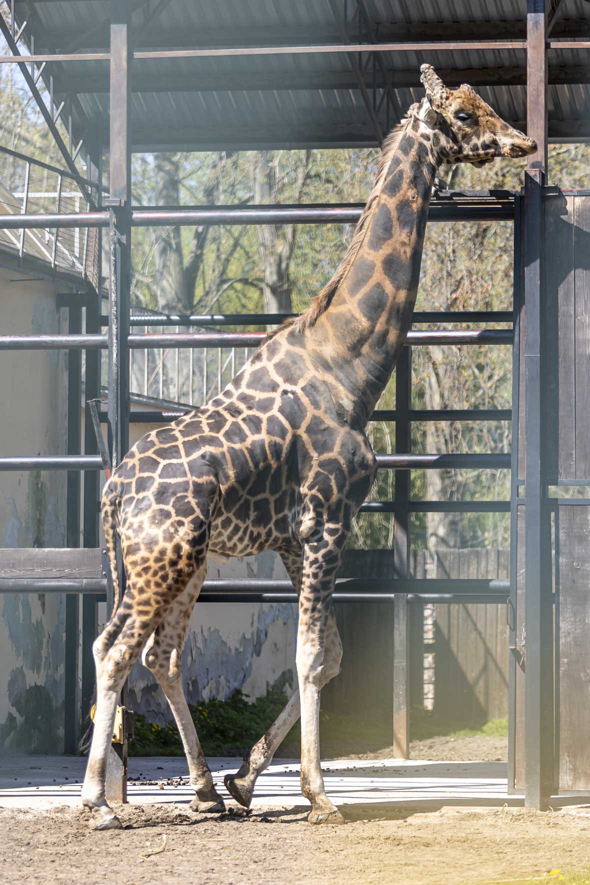 Uskrsni ponedjeljak u ZOOu_05_04_2026 Uskrsni ponedjeljak u ZOOu_05_04_2026