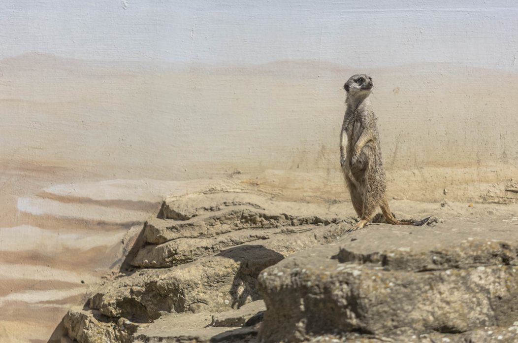 Uskrsni ponedjeljak u ZOOu_05_04_2026