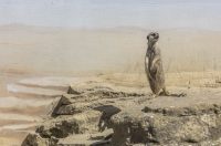 Uskrsni ponedjeljak u ZOOu_05_04_2026 Uskrsni ponedjeljak u ZOOu_05_04_2026