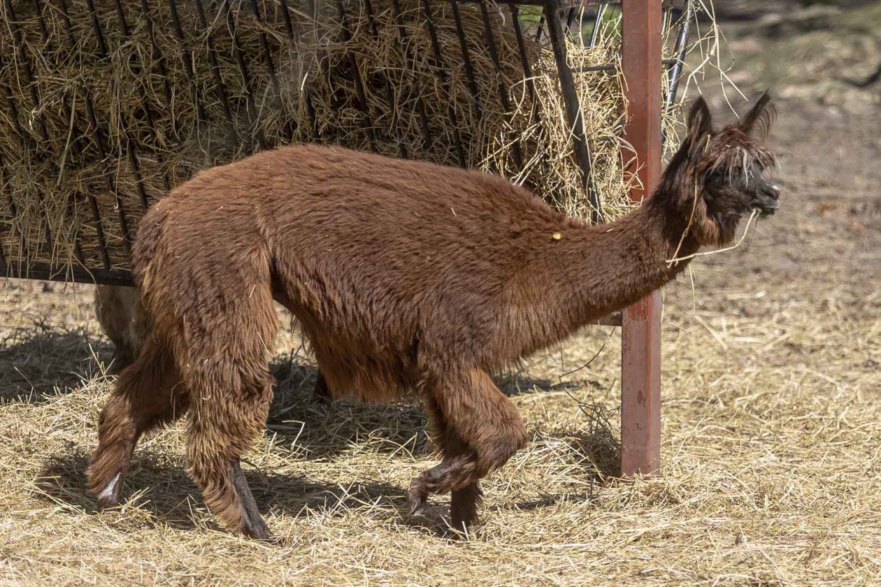 Uskrsni ponedjeljak u ZOOu_05_04_2026 Uskrsni ponedjeljak u ZOOu_05_04_2026