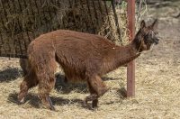 Uskrsni ponedjeljak u ZOOu_05_04_2026 Uskrsni ponedjeljak u ZOOu_05_04_2026