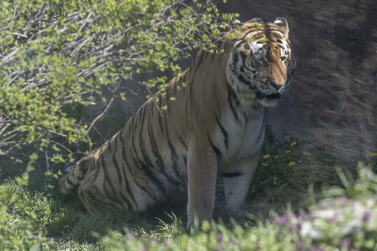 Uskrsni ponedjeljak u ZOOu_05_04_2026 Uskrsni ponedjeljak u ZOOu_05_04_2026