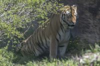 Uskrsni ponedjeljak u ZOOu_05_04_2026 Uskrsni ponedjeljak u ZOOu_05_04_2026