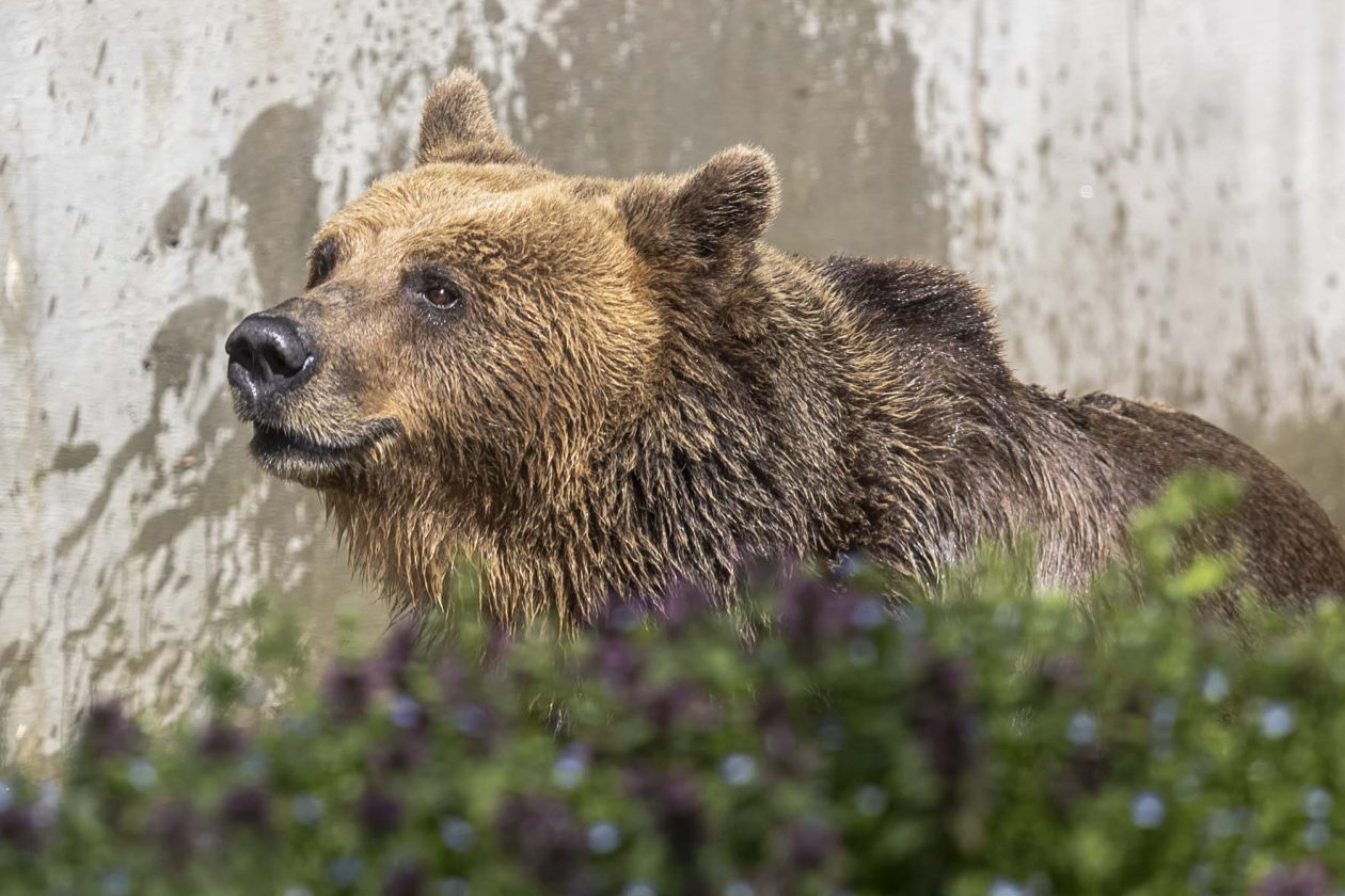 Uskrsni ponedjeljak u ZOOu_05_04_2026 Uskrsni ponedjeljak u ZOOu_05_04_2026