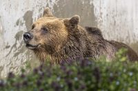 Uskrsni ponedjeljak u ZOOu_05_04_2026 Uskrsni ponedjeljak u ZOOu_05_04_2026