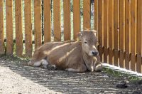 Uskrsni ponedjeljak u ZOOu_05_04_2026 Uskrsni ponedjeljak u ZOOu_05_04_2026