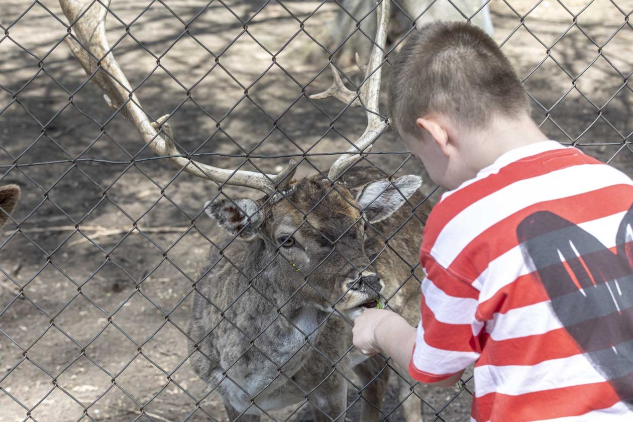 Uskrsni ponedjeljak u ZOOu_05_04_2026 Uskrsni ponedjeljak u ZOOu_05_04_2026