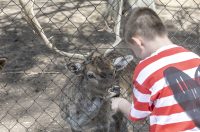 Uskrsni ponedjeljak u ZOOu_05_04_2026 Uskrsni ponedjeljak u ZOOu_05_04_2026