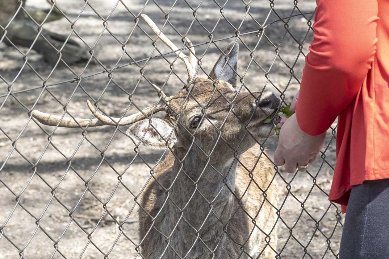 Uskrsni ponedjeljak u ZOOu_05_04_2026 Uskrsni ponedjeljak u ZOOu_05_04_2026