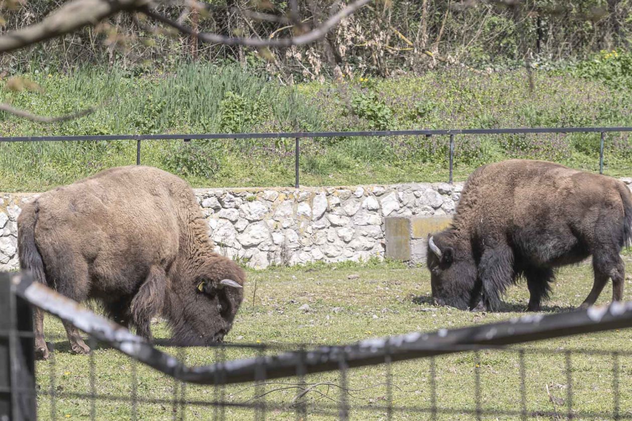 Uskrsni ponedjeljak u ZOOu_05_04_2026 Uskrsni ponedjeljak u ZOOu_05_04_2026