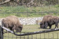Uskrsni ponedjeljak u ZOOu_05_04_2026 Uskrsni ponedjeljak u ZOOu_05_04_2026