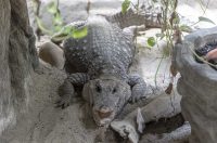 Uskrsni ponedjeljak u ZOOu_05_04_2026 Uskrsni ponedjeljak u ZOOu_05_04_2026