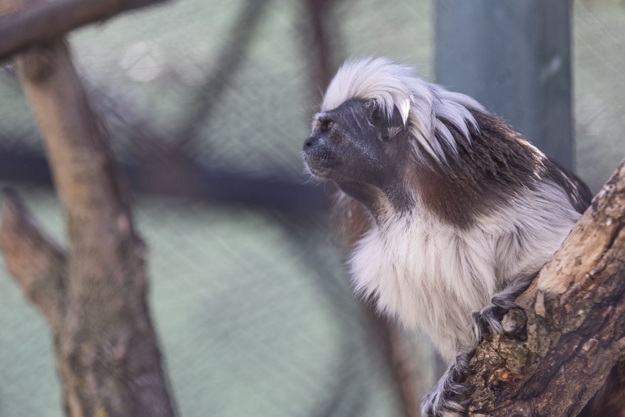 Uskrsni ponedjeljak u ZOOu_05_04_2026 Uskrsni ponedjeljak u ZOOu_05_04_2026