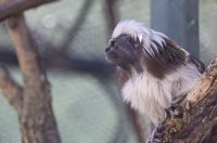 Uskrsni ponedjeljak u ZOOu_05_04_2026 Uskrsni ponedjeljak u ZOOu_05_04_2026