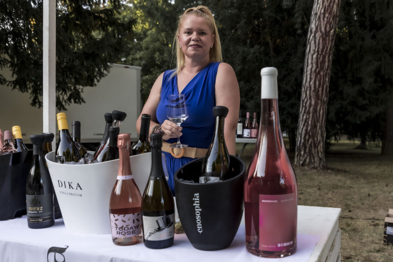 Večer vina i umjetnosti – srpanj 2025.