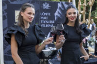 Večer vina i umjetnosti – srpanj 2025.