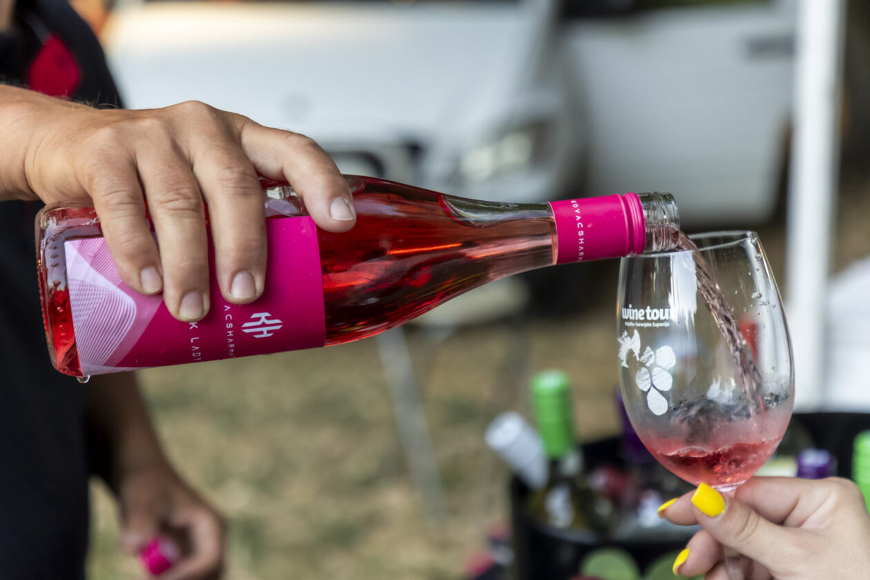 Večer vina i umjetnosti 2025.