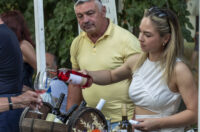 Večer vina i umjetnosti 2025.