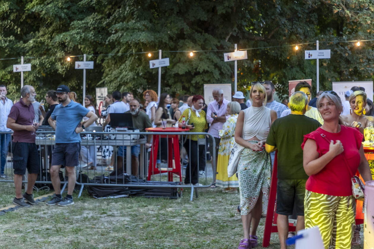 Večer vina i umjetnosti 2025.