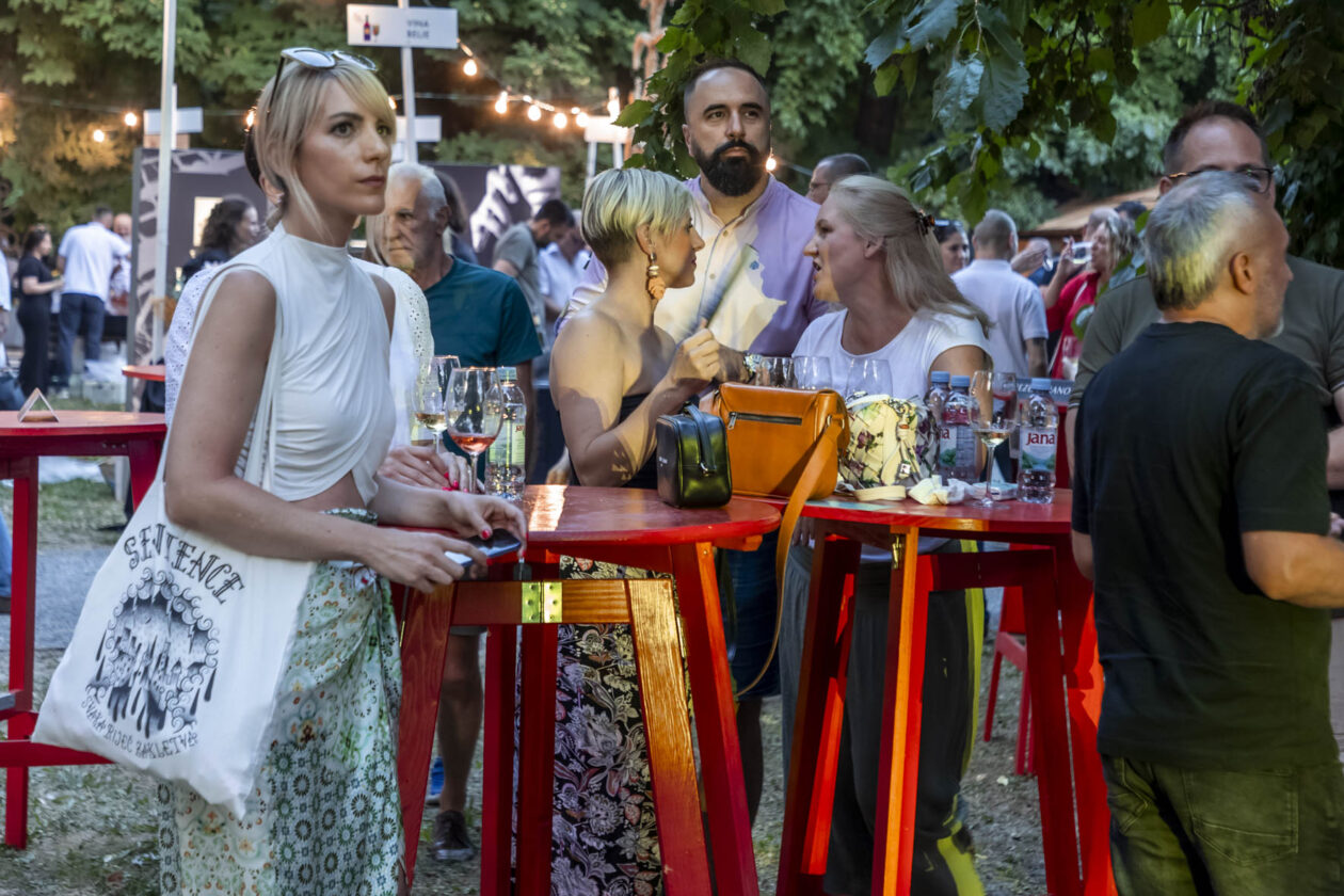 Večer vina i umjetnosti 2025.