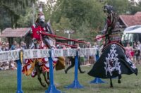 Vitezovi_12_08_2025 Vitezovi_12_08_2025