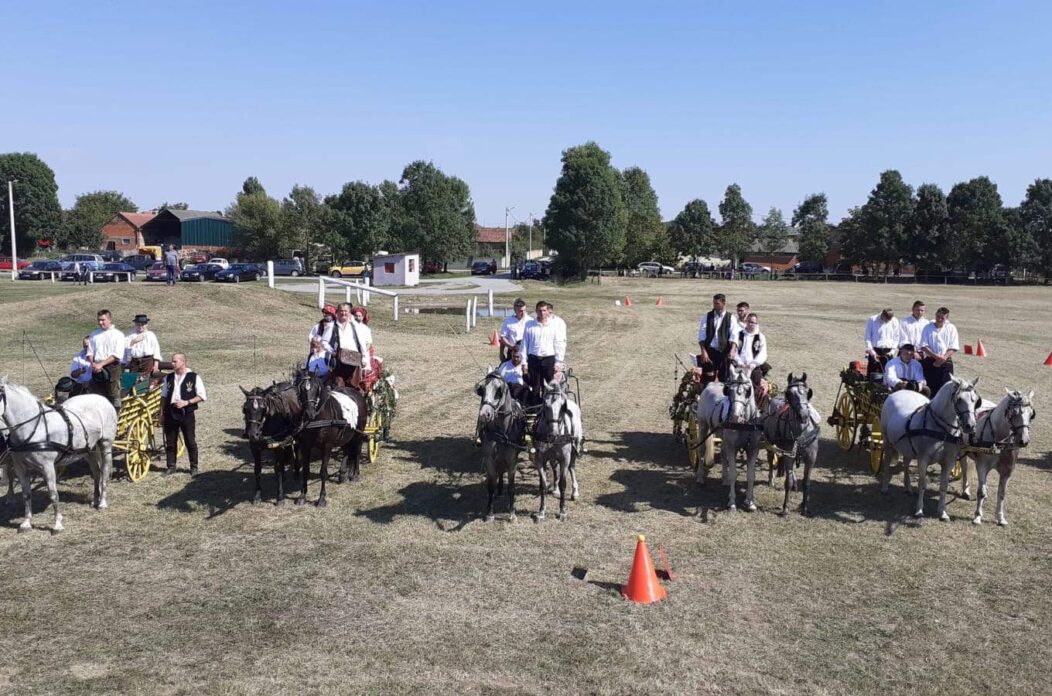 Vrani se konji igrali