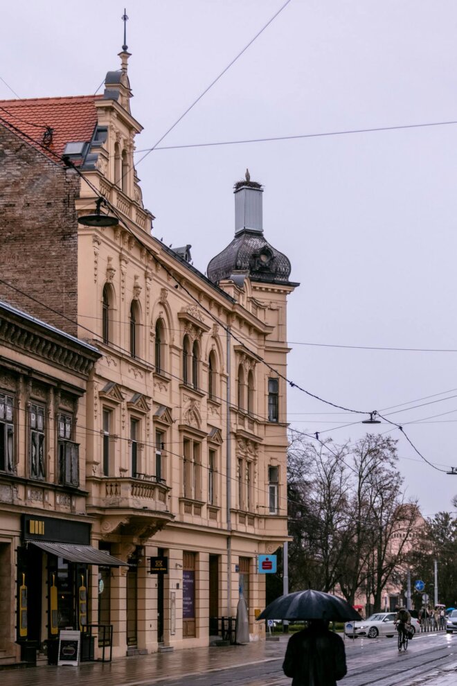 vratile_se_rode_2025 vratile_se_rode_2025