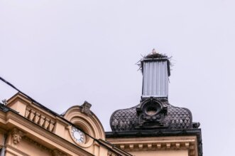 vratile_se_rode_2025 vratile_se_rode_2025