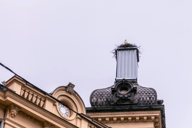 vratile_se_rode_2025 vratile_se_rode_2025