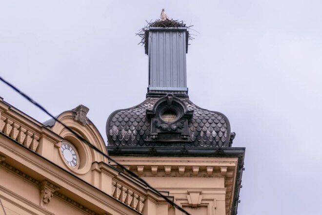 vratile_se_rode_2025 vratile_se_rode_2025