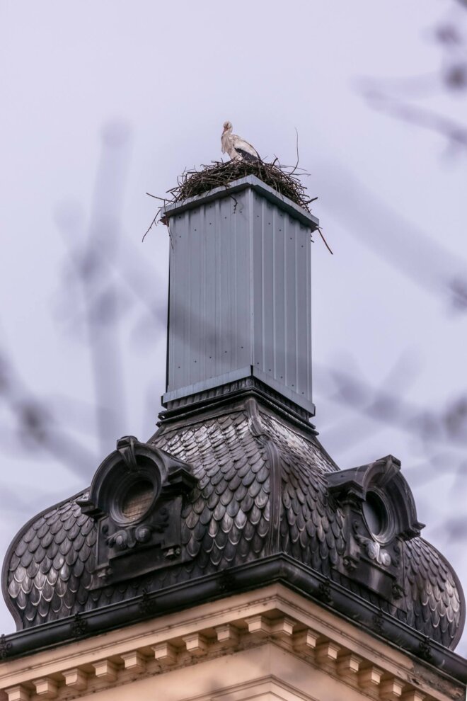 vratile_se_rode_2025 vratile_se_rode_2025