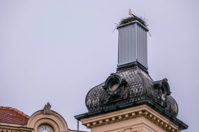 vratile_se_rode_2025 vratile_se_rode_2025