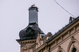 vratile_se_rode_2025 vratile_se_rode_2025