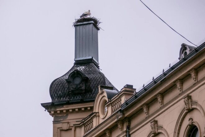 vratile_se_rode_2025 vratile_se_rode_2025